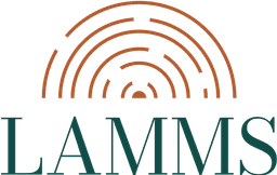 LAMMS - Campaign Analysis Platform