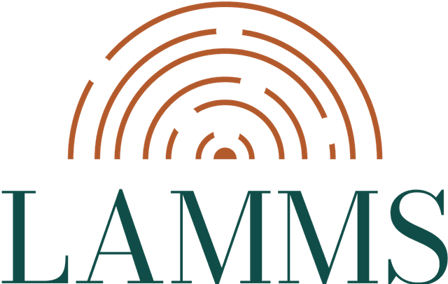 LAMMS - Campaign Analysis Platform